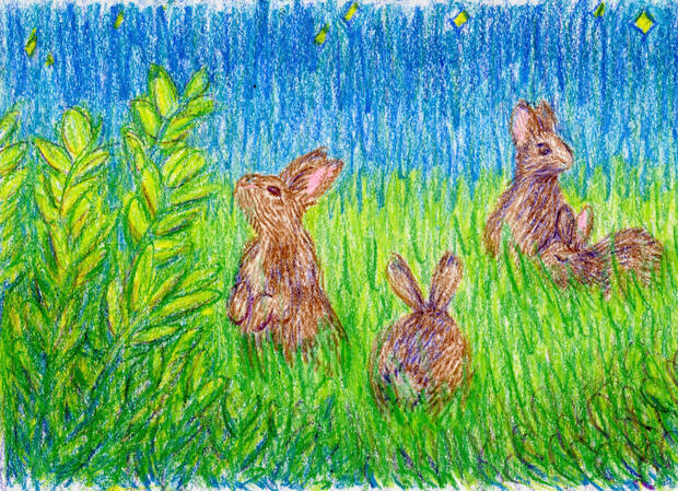 a crayon drawing of 3 rabbits in a field at night, surrounded by grass and leaves